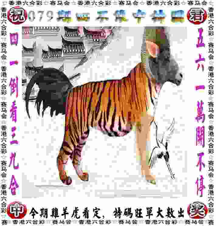 【视频】巴黎，我们来了！逐梦巴黎残奥会，青岛跆拳道运动员全力备战